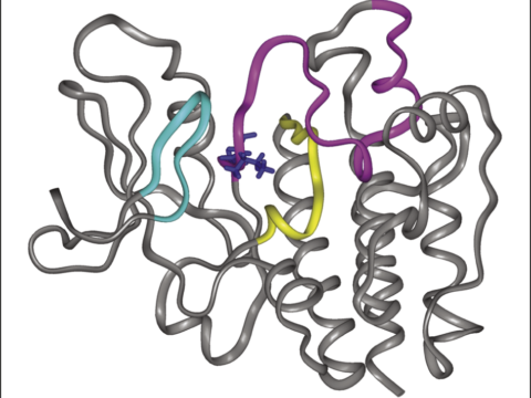 Tracking LRRK2-Parkinson’s Progression for Better Trial Design