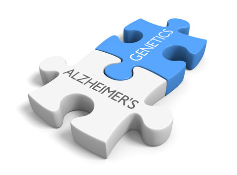 Gaining Notoriety, SORL1 Claims Spot Among Top Alzheimer’s Genes