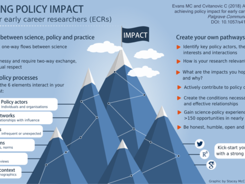 So you want to make an impact? Some practical suggestions for early-career researchers