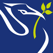 A  Multiverse Analysis of the Logical Memory Test and Plasma Biomarkers of  Alzheimer’s Disease