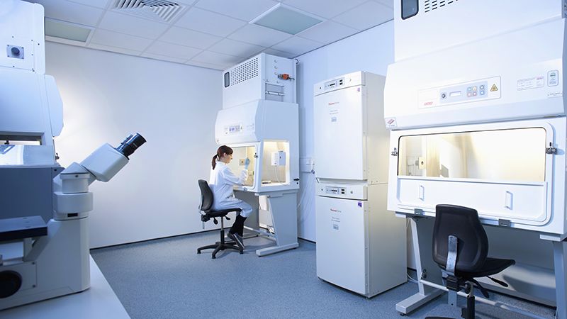 Plugging the leaky pipeline for UK female chemists