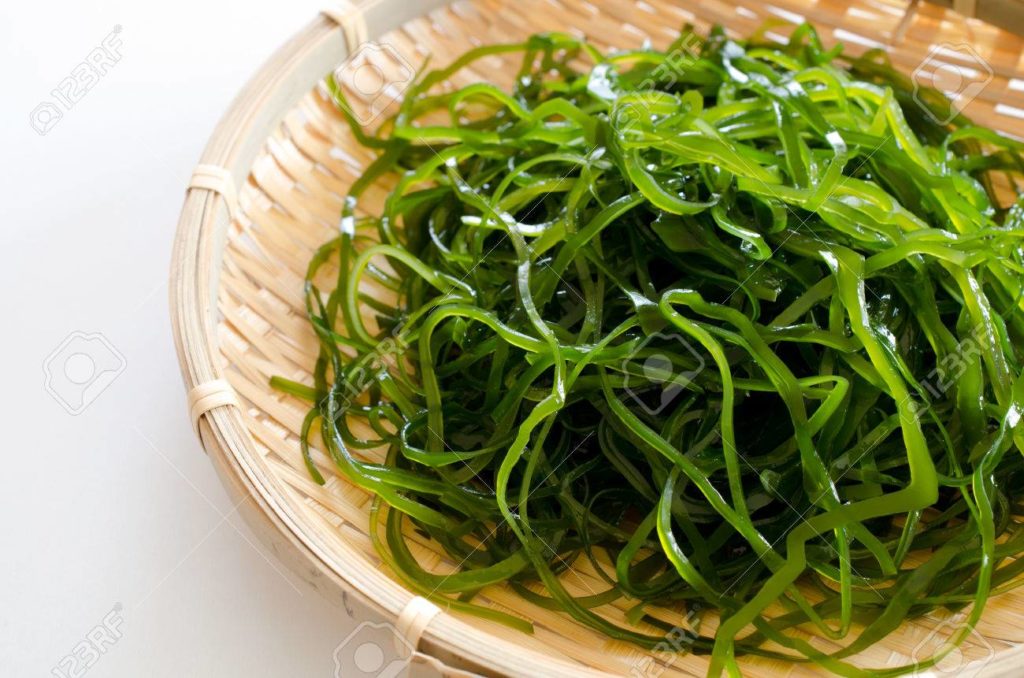 Can Kelp Help Treat AD? Chinese Regulators Think So