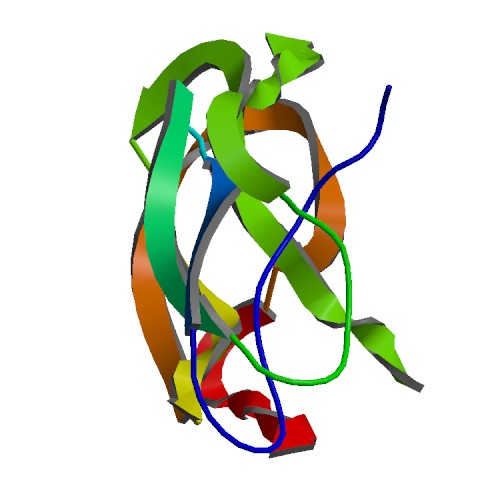 Alzforum’s Dataset of APP Mutations Gets a Makeover