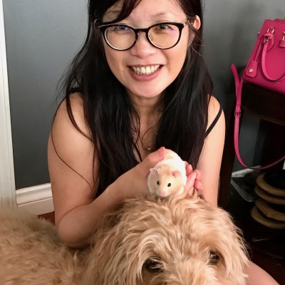 Profile – Dr Lillian Hung