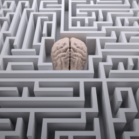 Blog – Neurovascular coupling in Alzheimer’s disease