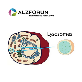 Dysfunctional Lysosomes Cause Ferroptosis in Neurons