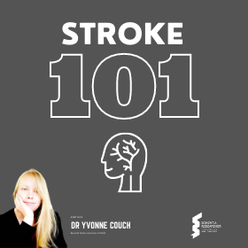 Blog – Stroke 101