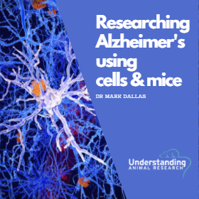 Researching Alzheimer’s using cells and mice