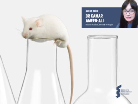 Blog – Has a reliance on animal models delayed dementia research?