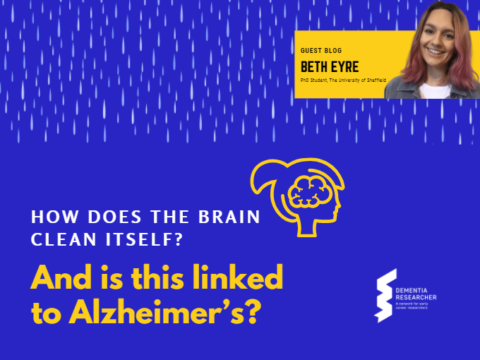 Blog – How does the brain clean itself? And is this linked to Alzheimer’s?
