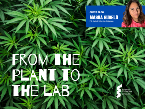 Blog – From the plant to the lab