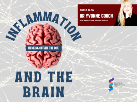 Blog – Inflammation and the Brain, thinking outside the box