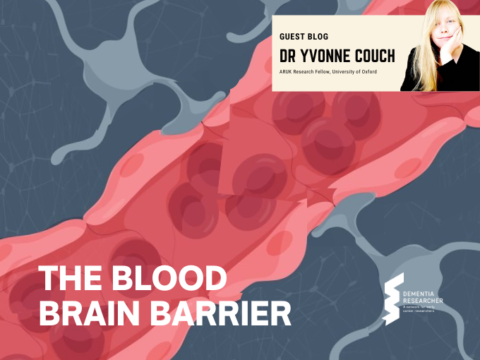 Blog – The Blood Brain Barrier