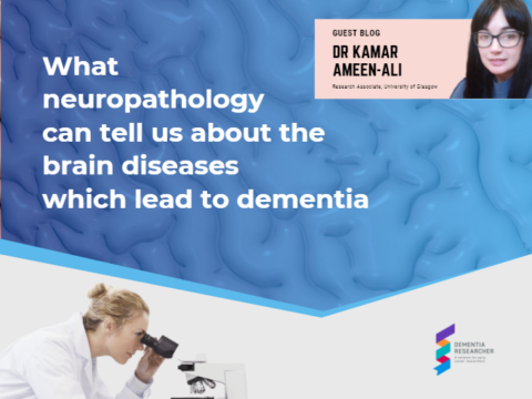 Blog – What neuropathology can tell us about the brain diseases which lead to dementia
