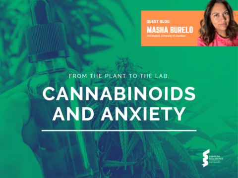 Blog – Cannabinoids and Anxiety