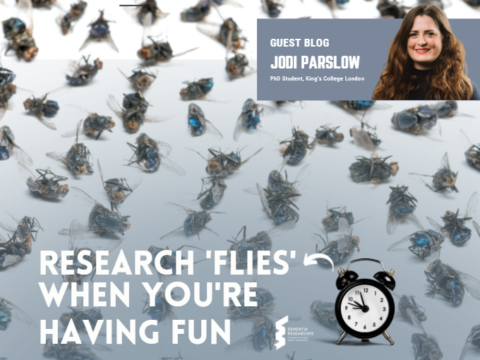 Blog – Research ‘Flies’ When You’re Having Fun