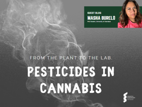 Blog – Pesticides in Cannabis