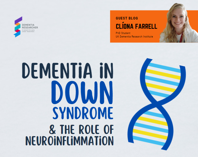 Blog – Dementia in Down syndrome and the role of neuroinflammation