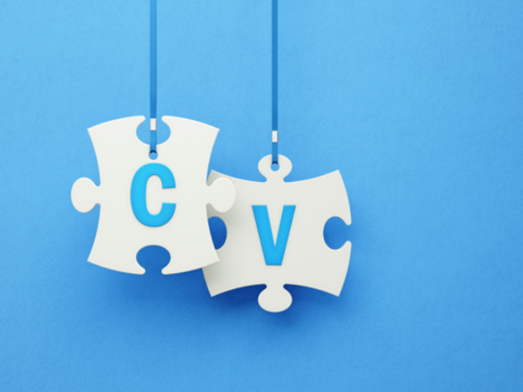 CV – Time to rethink in Science?