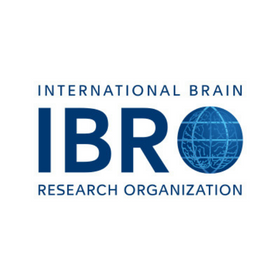 How to publish in IBRO journals