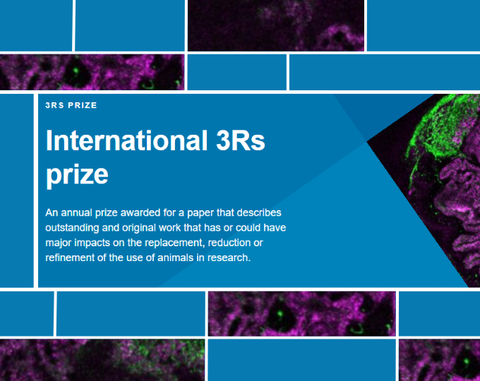 International 3Rs prize