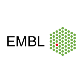 EMBL Careers Webinar – How to choose a postdoc position