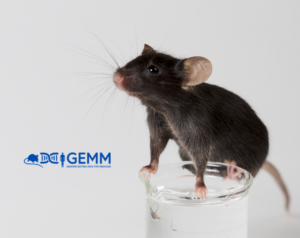 GEMM Mouse Call