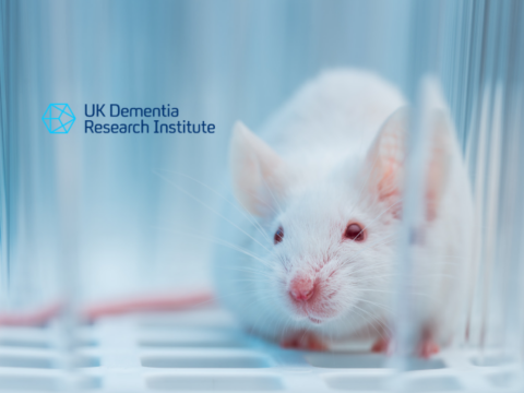 Improving animal models for the study of Alzheimer’s