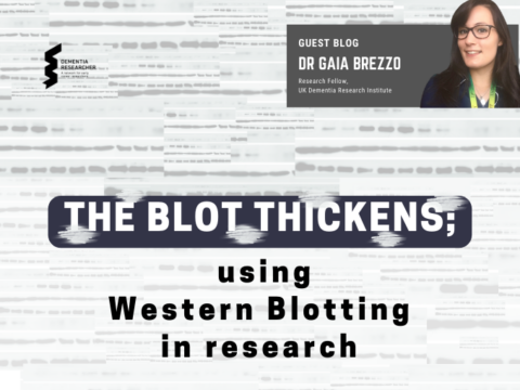 Blog – The Blot thickens; using Western Blotting in research