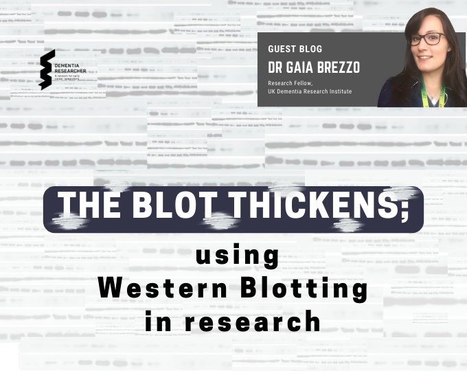 Blog – The Blot thickens; using Western Blotting in research