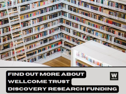 Discovery Research funding webinars for global researchers