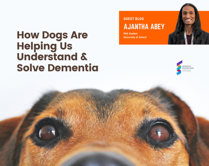 Blog – How Dogs Are Helping Us Understand And Solve