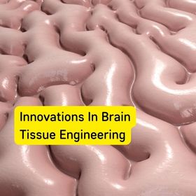 Innovations In Brain Tissue Engineering