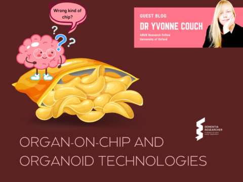 Blog – Organ-On-Chip and Organoid Technologies