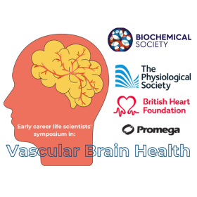 Early Career Life Scientists’ Symposium in Vascular Brain Health