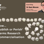 Blog – How ‘Publish or Perish’ Harms Research Commercialisation