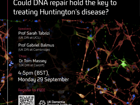 Could DNA repair hold the key to treating Huntington’s