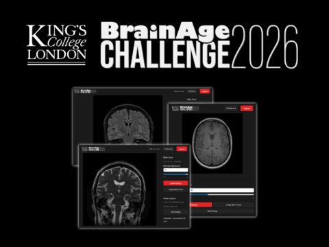 The BrainAge Challenge 2026