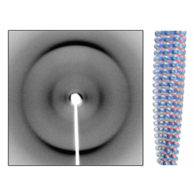 The X-ray fibre diffraction pattern - DEMENTIA RESEARCHER The X-ray fibre diffraction pattern (right) obtained from a cross-beta amyloid fibril (molecular model shown right).
