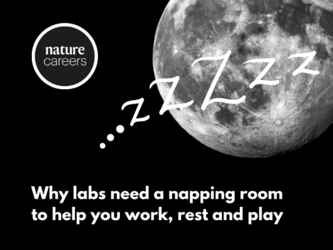 Why labs need a napping room to help you work, rest and play