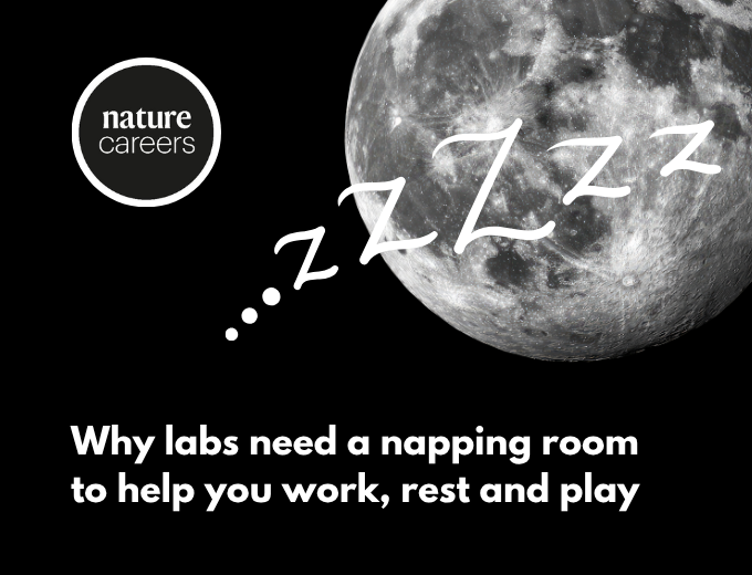 Why labs need a napping room to help you work, rest and play