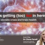 Blog – It’s getting (too) hot in here; the climate crisis & brain health
