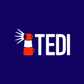 TEDI Network + Logo