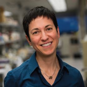 Professor Carmela Tartaglia - DEMENTIA RESEARCHER Portrait of a smiling woman with short dark hair wearing a blue shirt, in a blurred lab/office setting.