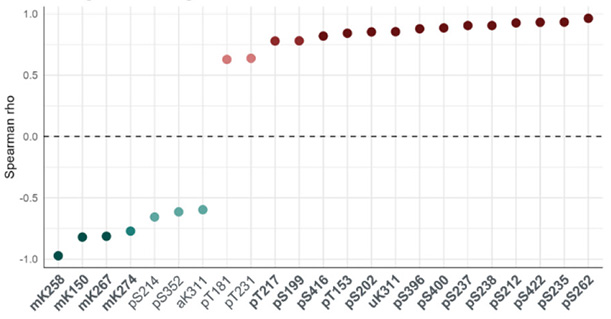 Scatter plot of Spearman rho values for multiple items. Negative correlations (teal points) cluster around -1 to -0.6 on the left, while positive correlations (pink to red points) rise from about 0.5 up to 1 on the right. A dashed line at 0 marks no correlation; x-axis lists item codes.