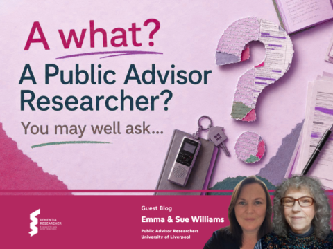 A what? A Public Advisor Researcher? You may well ask…