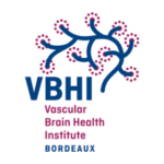Director of the Vascular Brain Health Institute