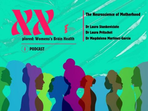 Matrescence: How Pregnancy Changes the Brain – XXplored Podcast