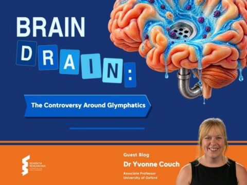 Blog – Brain Drain: The Controversy Around Glymphatics