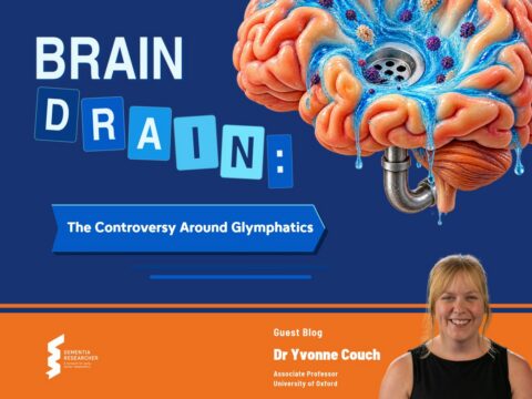 Blog – Brain Drain: The Controversy Around Glymphatics